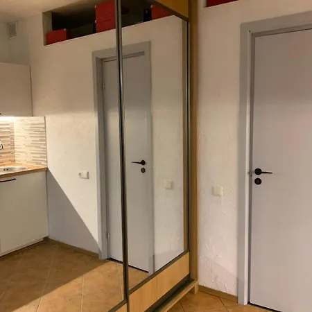 Old Studio Apartment Vilnius