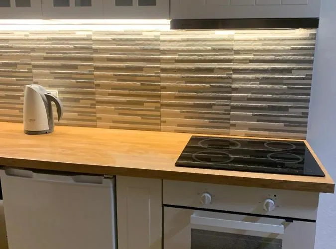 Apartament Old Studio Wilno