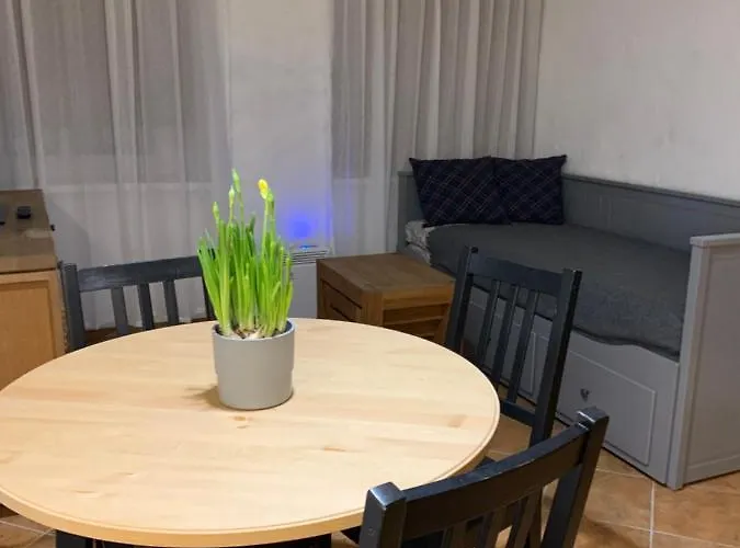 Apartament Old Studio Wilno