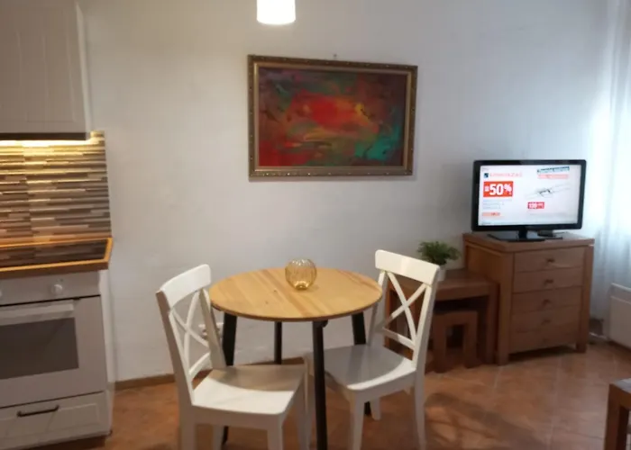 Old Studio Apartament